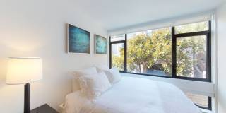 Telegraph Hill Gallery 19