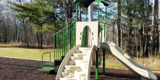 Tall Trees Gallery 10