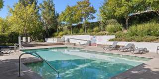 30864 Paloma Court Gallery 36