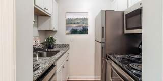 The Meadows Gallery 3