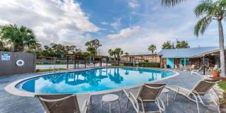 Sea Oats Sea Oats Gallery 40