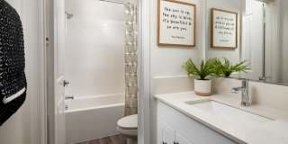 Sagewind Ranch Gallery 17