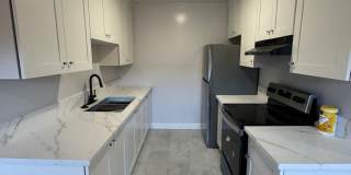 8744c Gallery 3