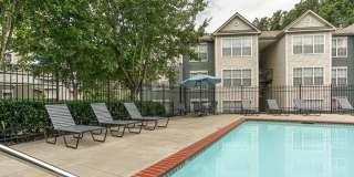 Monterey Village Gallery 12