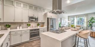 Aspire at Alper Gallery 7