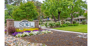 Sofi Dublin Sofi Dublin Gallery 1