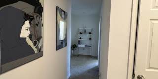 976 Trinity Street Gallery 28