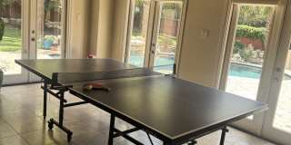 19726 FOLONARI Gallery 11