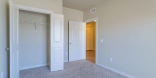 Century Palm Bluff Gallery 16