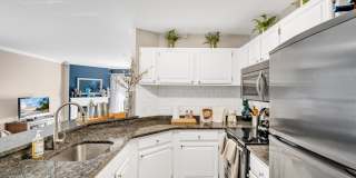 The Graham Gallery 16