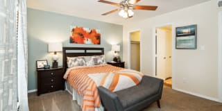 Lake Johnson Mews Gallery 33