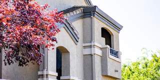 Cobble Oaks Gallery 20
