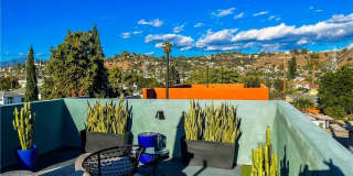 2320 Fernleaf Street Gallery 18