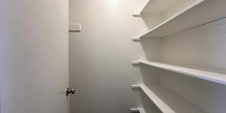 Summer Woods Gallery 35