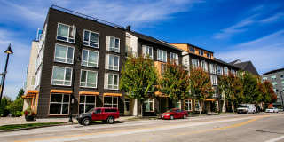 The Arbory Gallery 17