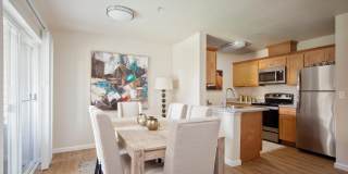 Millennium Park Gallery 8