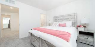 2849 Desert Mosaic Lane Gallery 20