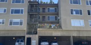 1040 Ashbury Street Gallery 13