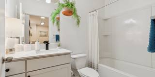 Evergreen at Five Points Gallery 20