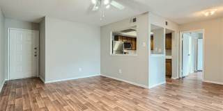 Rise Spring Pointe Gallery 119