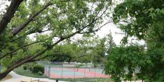 2 bedroom 2 bath Condo in great neighborhood $3650 Gallery 1