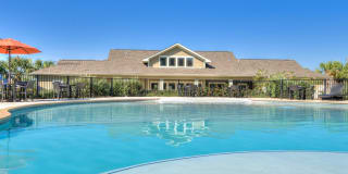 La Contessa Gallery 13