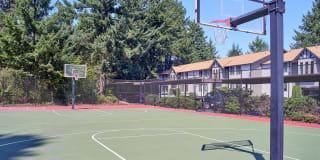 Forest Hill Village Gallery 35