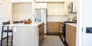 The Olive The Olive Gallery 42