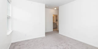 BEAUTIFUL 3BD 2.5 BTH Apartment home RAINTREE - Ballantyne Commons Pkwy Gallery 14