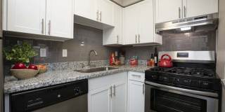 The Clara The Clara Gallery 2