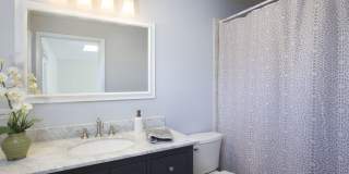 1344 Torrey Pines Rd Gallery 46