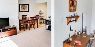 Washington Court Gallery 5