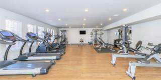 Orchard Park Gallery 23