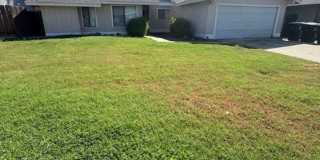 Coming Soon! Gallery 1