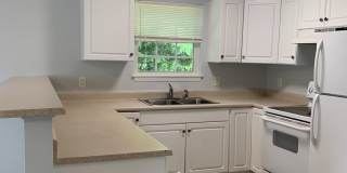 3 BD, 2 BA House: Freshly Painted + New Flooring + Available Now! Gallery 12