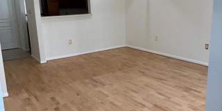 5575 SEMINARY Road Gallery 7