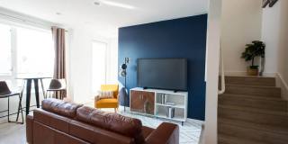 Urbana Gallery 24