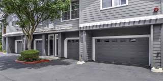 Seville at Mace Ranch Gallery 38