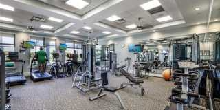 23601 Sandycreek Ter unit: 903 Gallery 5