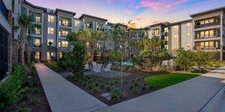 RISE Bartram Park Gallery 61