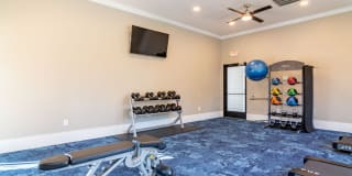 Evergreen Terrace Gallery 17