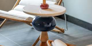 Wren on the Creek Gallery 32