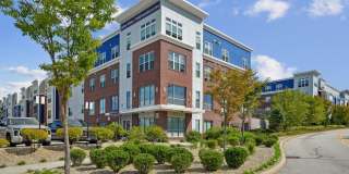 Bell Shrewsbury Gallery 1