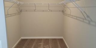 Newer Build in Senoia's South Ridge, 4BR, 2.5 BA Newer Build in Senoia's South Ridge, 4BR, 2.5 BA Gallery 23