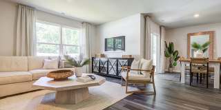 Jackey's Ridge Gallery 4