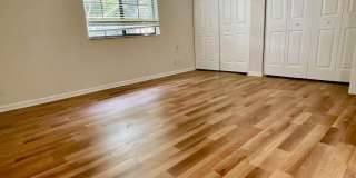 3959 Orange Tree Lane Gallery 11