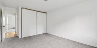 Shannon South Gallery 5