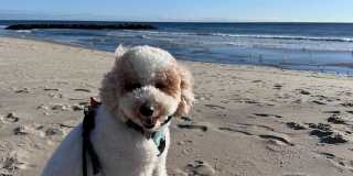 214 Brinley Avenue Gallery 24