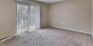 Maple Grand Gallery 9