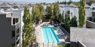 Almaden Lake Village Gallery 3